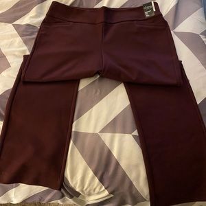 New York &co pull on pants burgundy